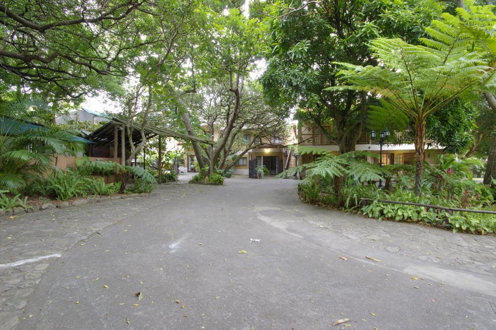 Treetops Self-Catering Accommodation