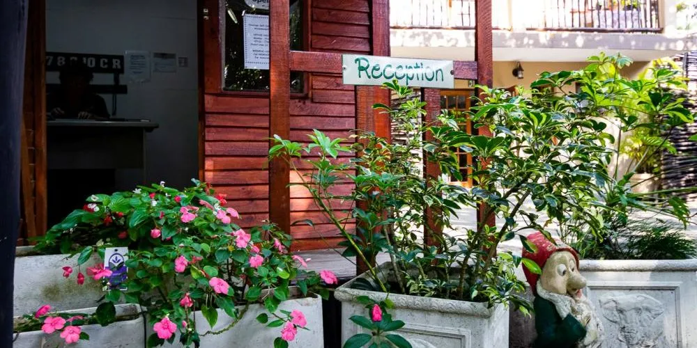 Wooden reception area with potted flowers and a garden gnome statue