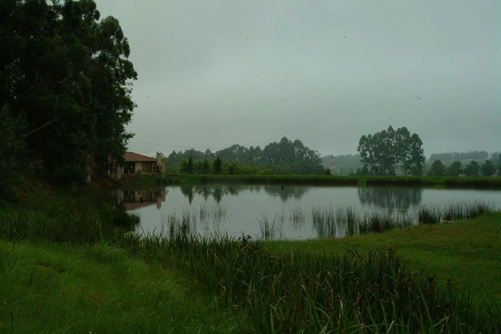 Nutty Lane Self-Catering Cottages