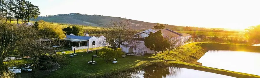 Vineyard estate with buildings pond and trees at sunset