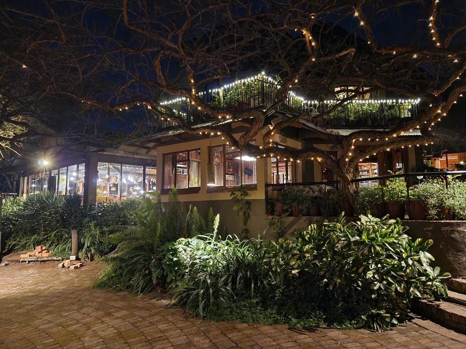 Cozy restaurant at night with warm lights lush greenery and brick pathway