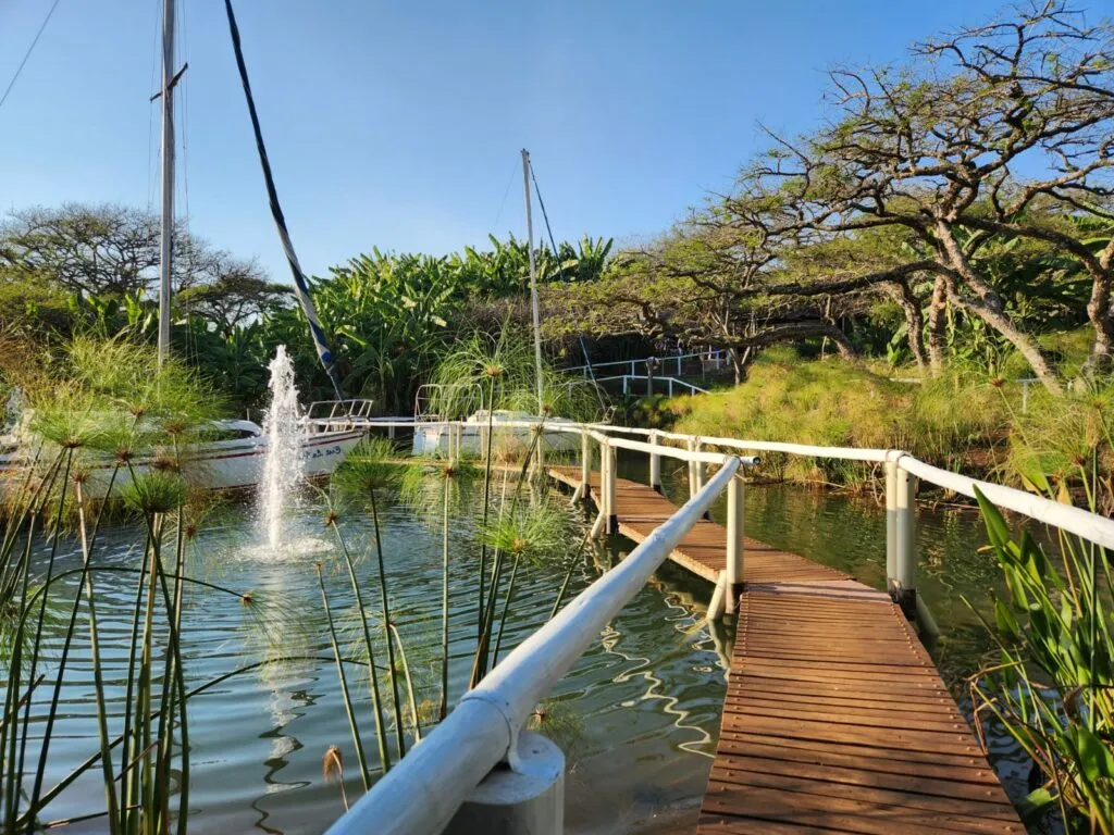Wooden bridge over pond with fountain surrounded by lush greenery and trees