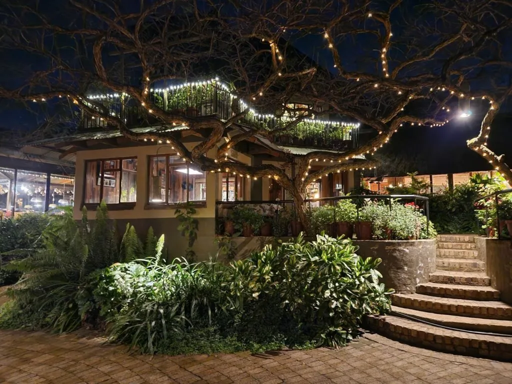 Cozy restaurant at night with fairy lights and lush greenery surrounding