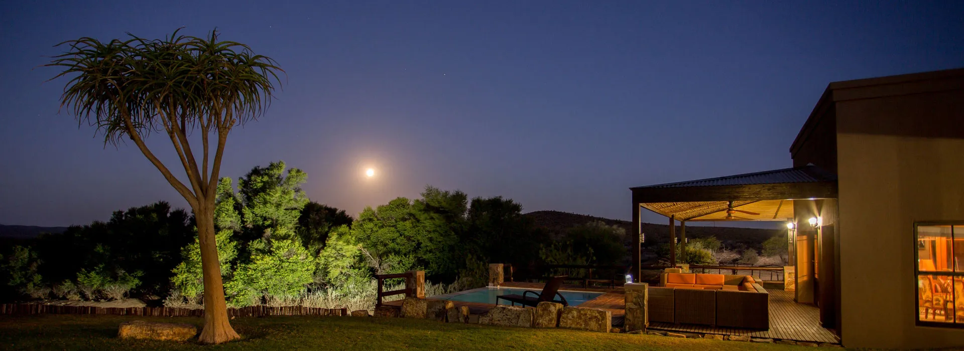 Night scene with a tree pool and lit patio near a house