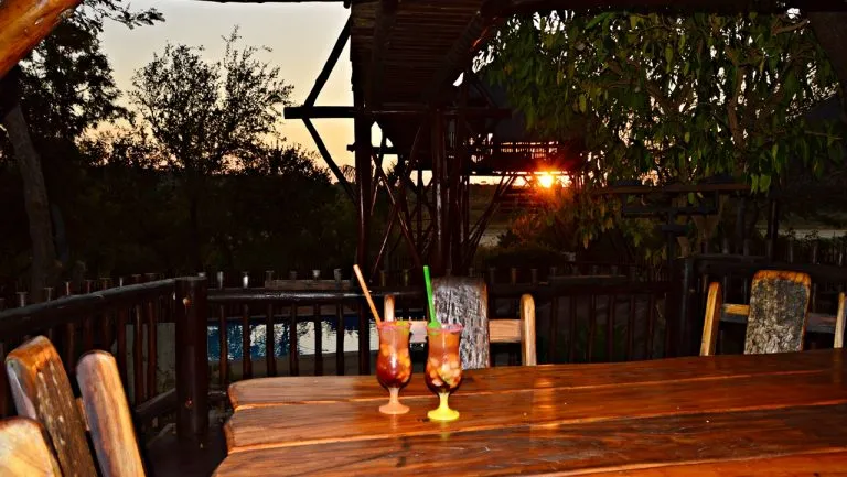 Two cocktails on a wooden table at an outdoor evening setting with trees
