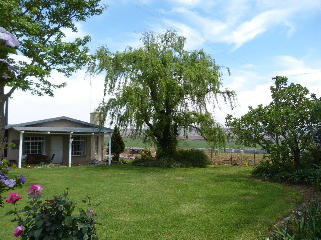 House with a large tree in a green garden under a blue sky