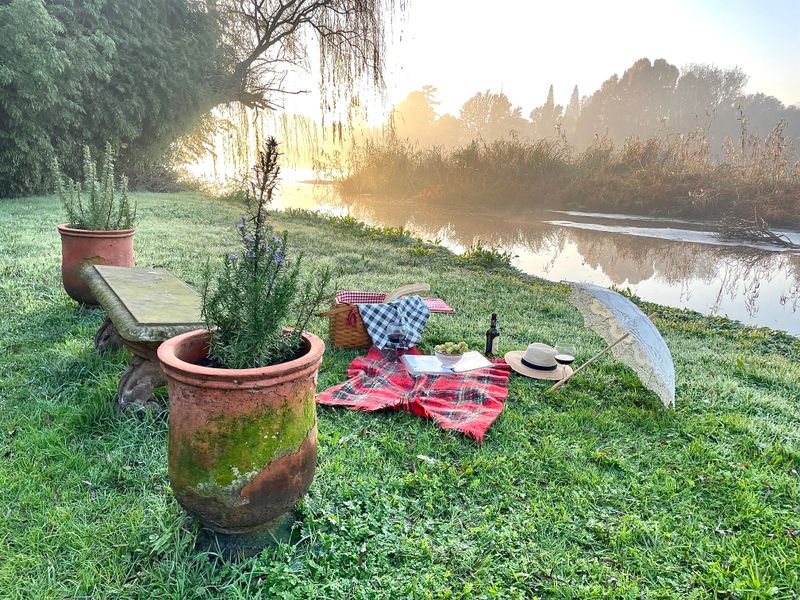Ducks Country House in Johannesburg 3