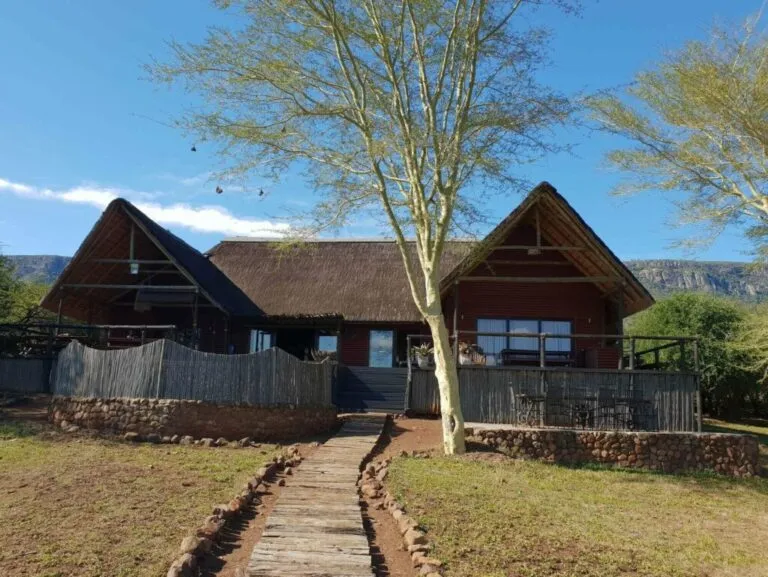 A thatchedroof house with a wooden walkway and surrounding trees and grass