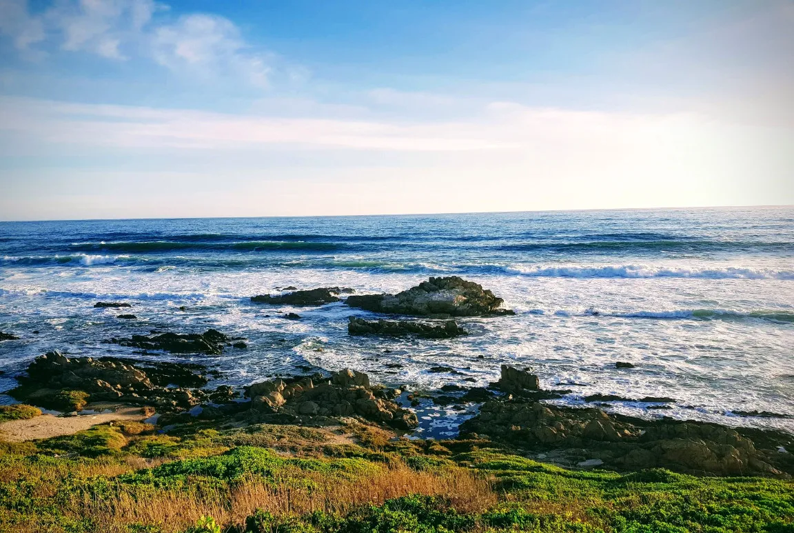 Rocky coastline with waves crashing green vegetation in the foreground clear sky