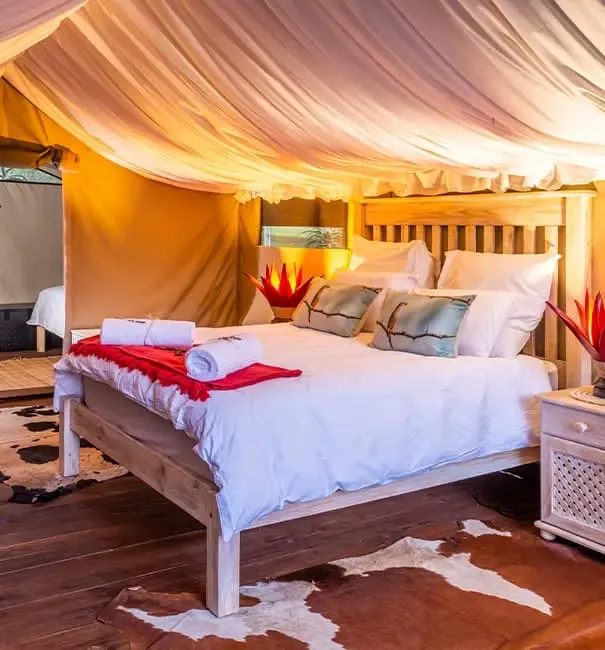 Cozy bedroom with a large bed draped canopy and wooden furniture