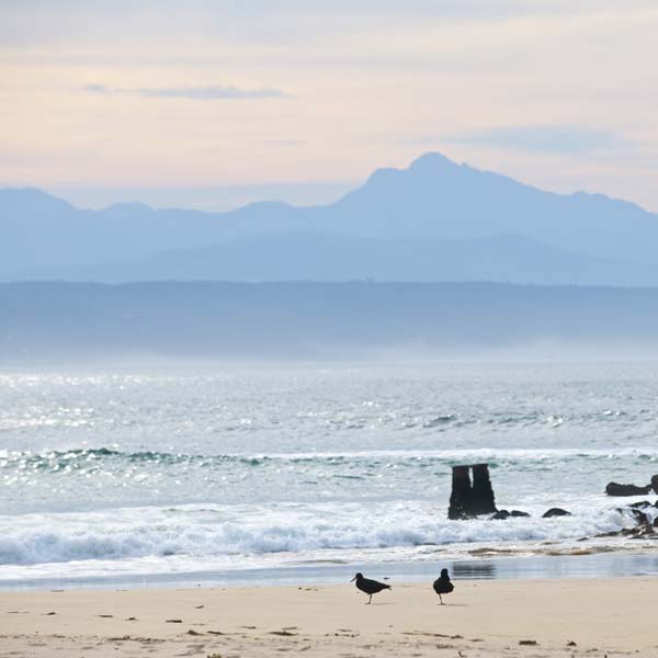 Plett Beachfront Accommodation