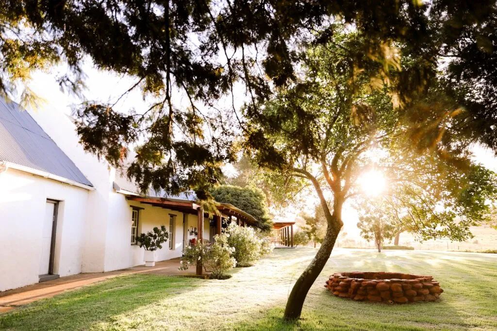 White house with garden large tree and sunlight filtering through leaves
