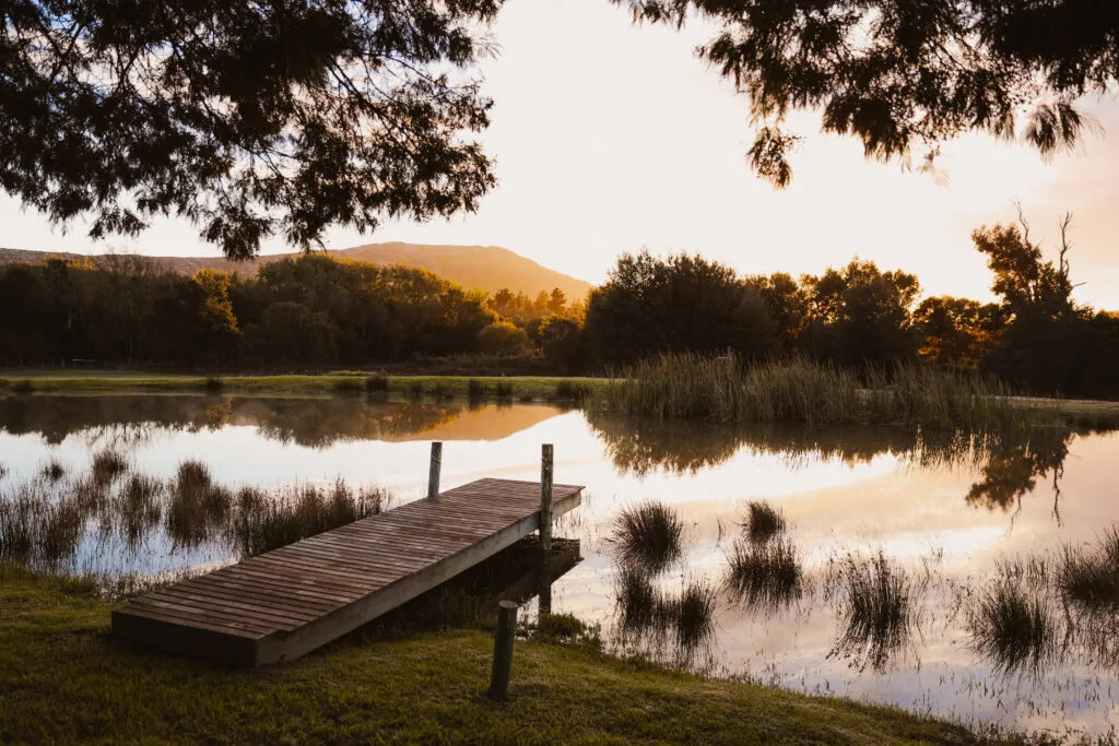 Wooden dock extending over a pond with trees and hills in the background