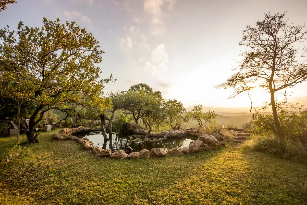 Pond surrounded by trees in a grassy area during sunset
