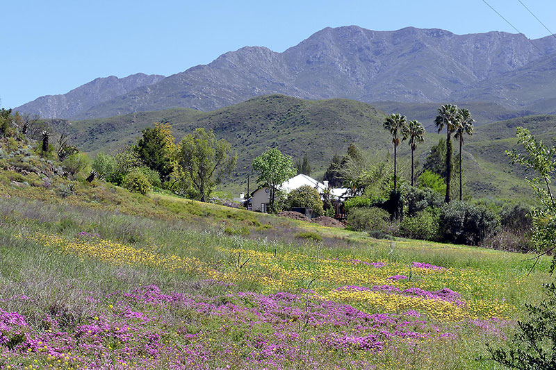 Calitzdorp Retreat
