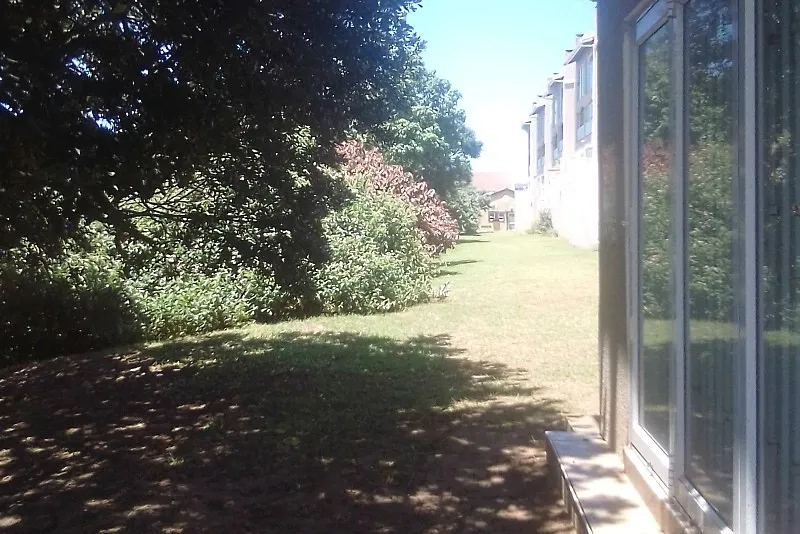 Garden with trees and bushes next to a building with windows