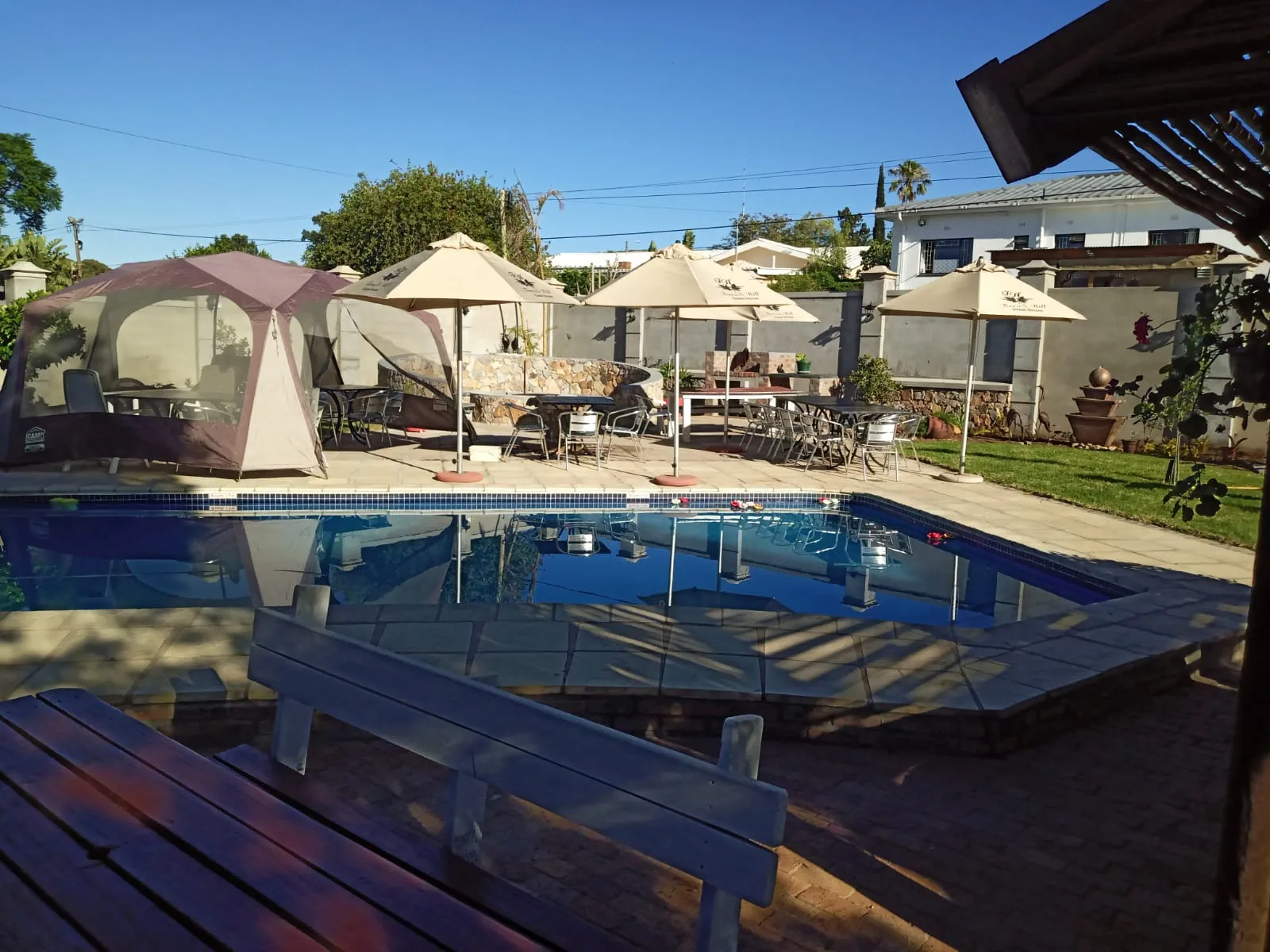 Swimming pool with lounge chairs and umbrellas in a sunny backyard