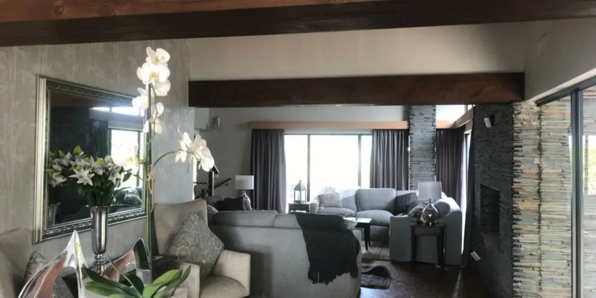 Modern living room with large windows grey furniture and decorative plants