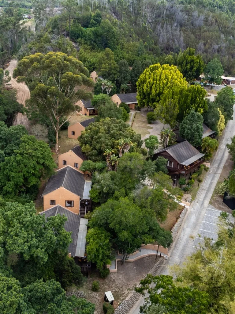 Aerial view of buildings surrounded by trees in a forested area