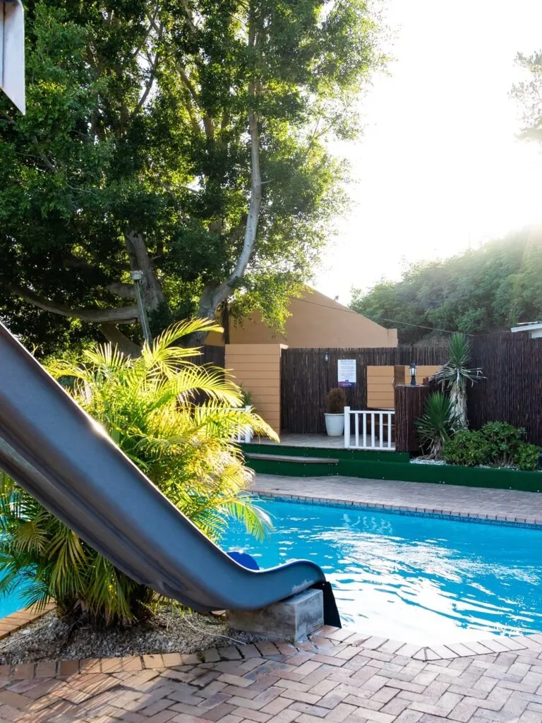 Slide into a pool with plants and trees in a sunny backyard