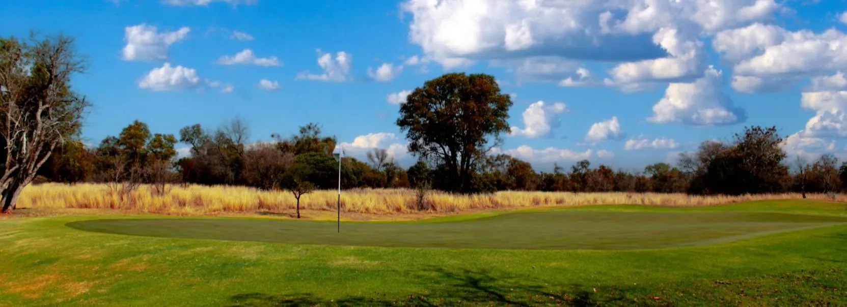 Golf course with green fairway trees and blue sky with scattered clouds