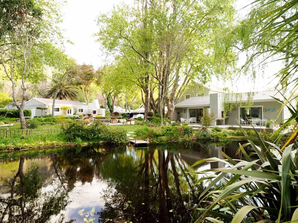 Houses by a pond with lush greenery and trees in a serene setting