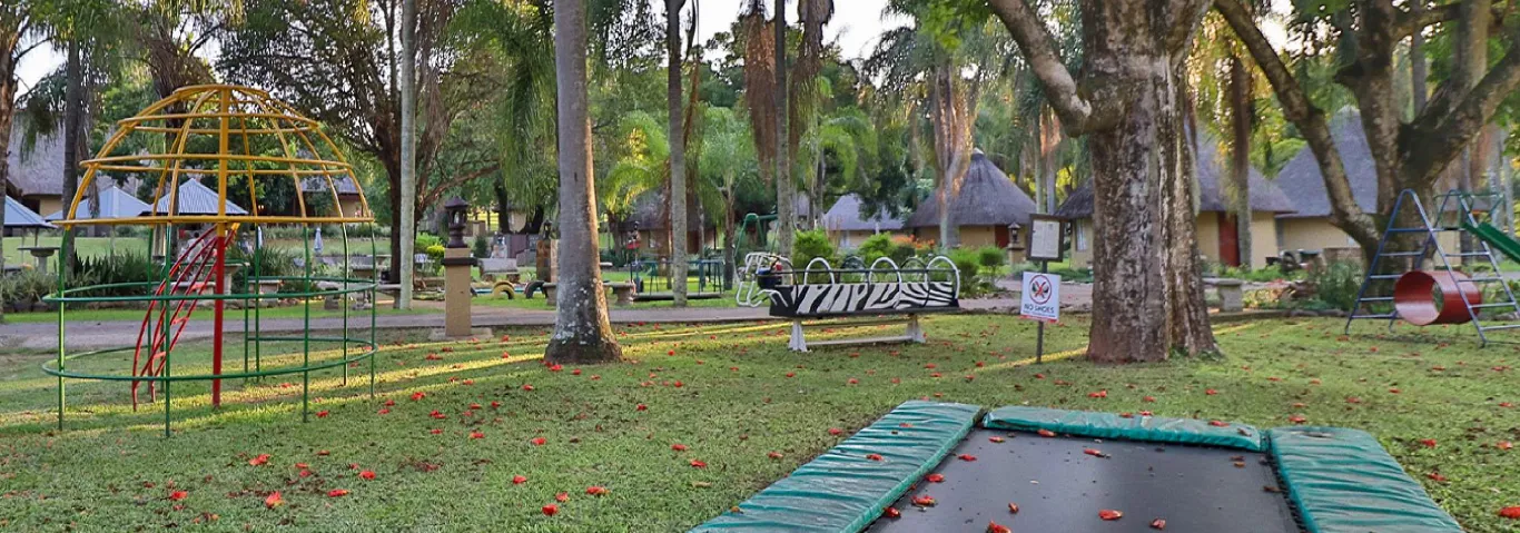 Playground with jungle gym trampoline and trees in a park setting