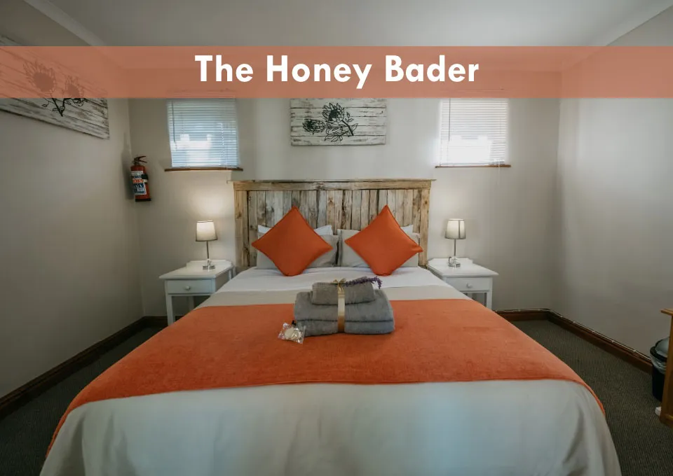 Cozy bedroom with orange and white bedding wooden headboard and bedside tables