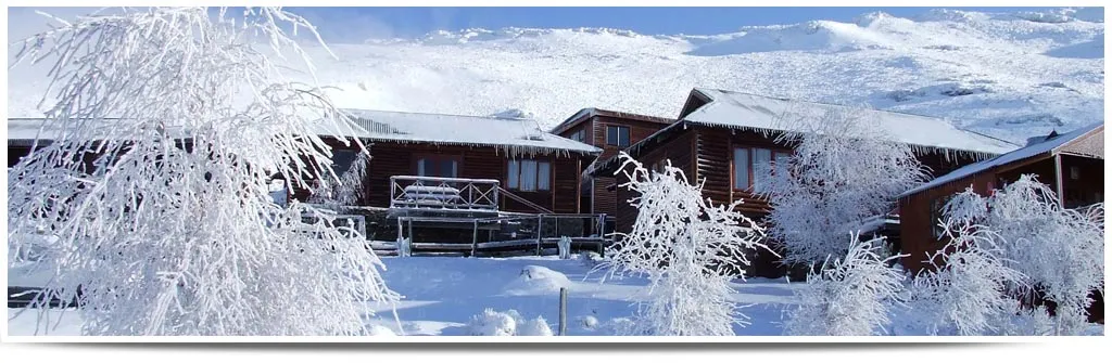 Snowcovered trees and cabins in a winter landscape under a clear blue sky