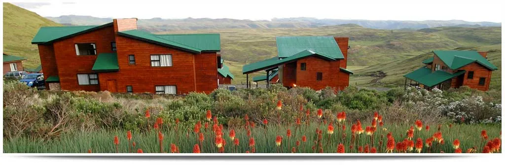 Wooden cabins with green roofs in a mountainous landscape with red flowers in foreground