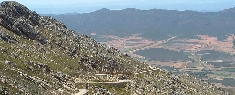 Mooiplaas Guest House image 5