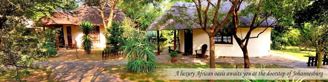 Luxury African oasis with traditional huts and lush greenery near Johannesburg