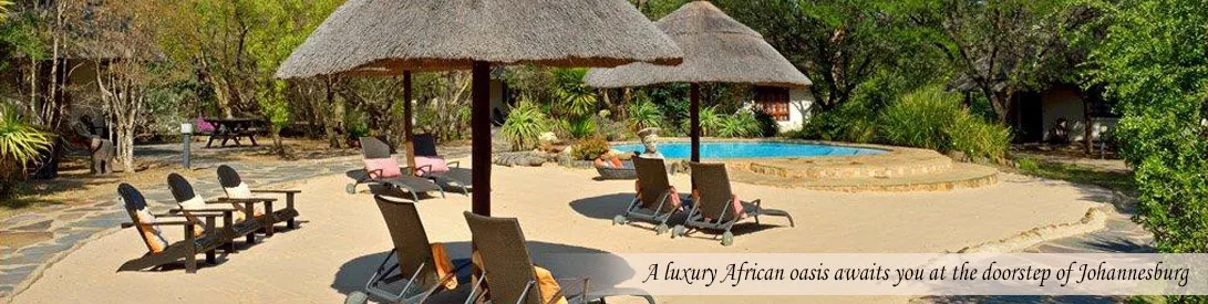 Luxury resort with lounge chairs umbrellas and a pool surrounded by greenery