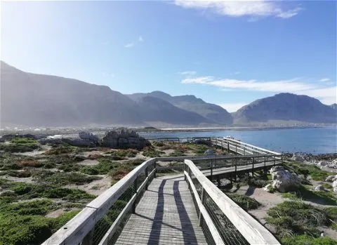 Wooden walkway over rocky terrain with ocean and mountains in the background