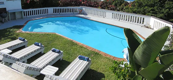 Swimming pool with lounge chairs green lawn and surrounding plants