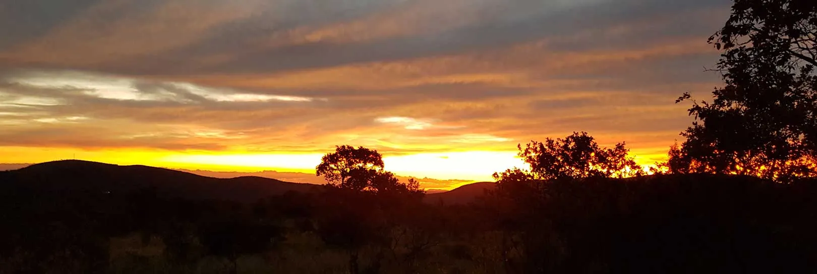 Sunset over hills with silhouetted trees and a colorful sky