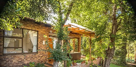 Cozy brick house with a wooden pergola surrounded by lush greenery