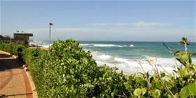 Pathway beside ocean with greenery and lifeguard tower in the background