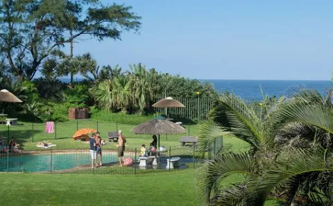 People relaxing by a pool with ocean view and palm trees