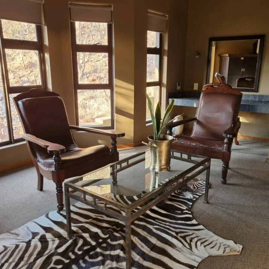 Two leather chairs glass table and zebra rug in a sunlit room