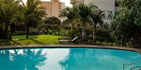 Swimming pool surrounded by palm trees and greenery with buildings in the background