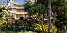 Tropical garden with bench in front of a multistory building