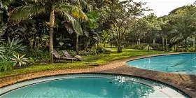 Swimming pool with lounge chairs surrounded by lush tropical greenery