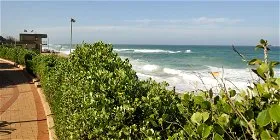 Pathway beside ocean with greenery lifeguard tower and waves in the background
