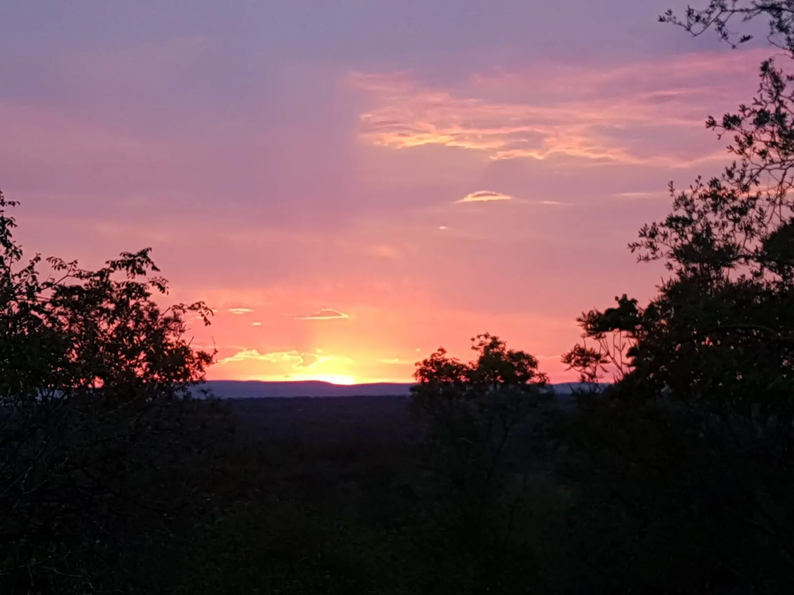 Sunset over a landscape with silhouetted trees and a colorful sky