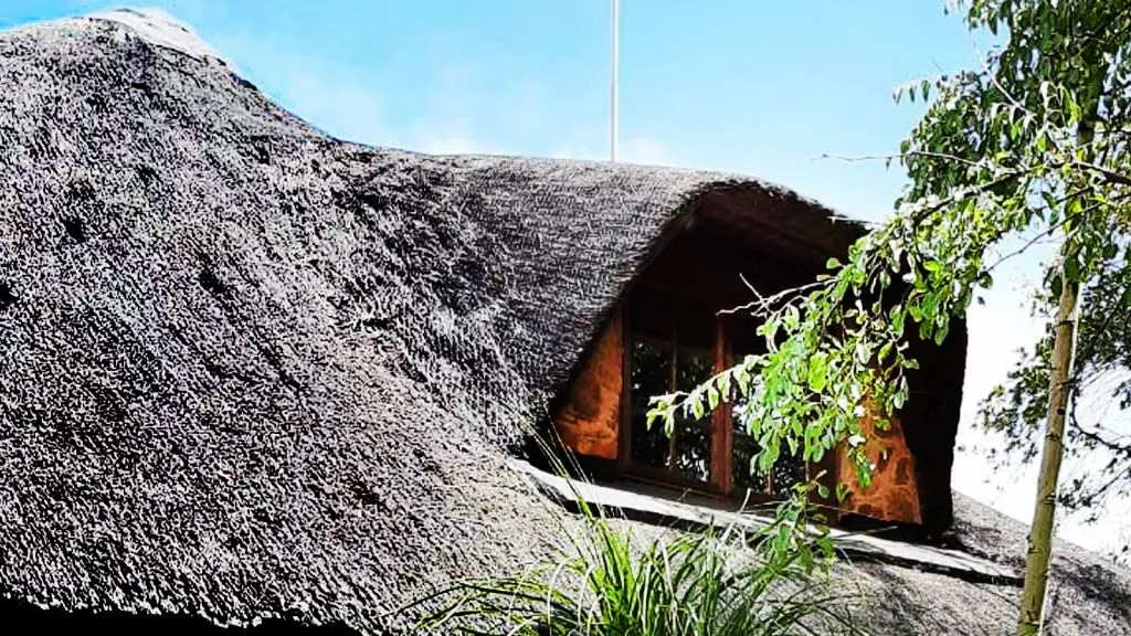 Thatched roof with a window surrounded by greenery and a tree