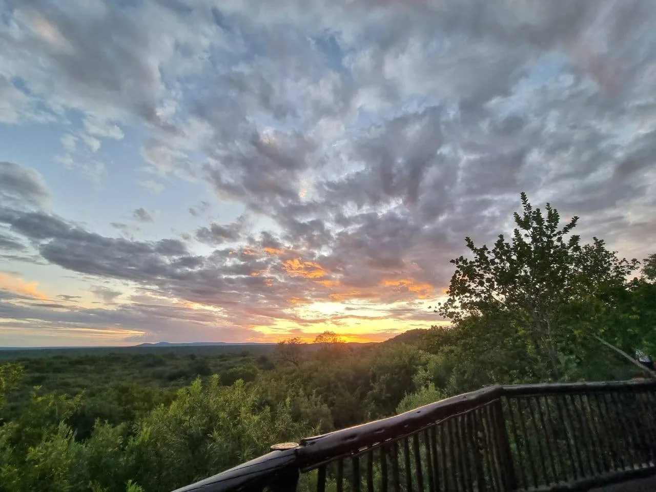 Sunset view from a wooden deck overlooking a lush green landscape