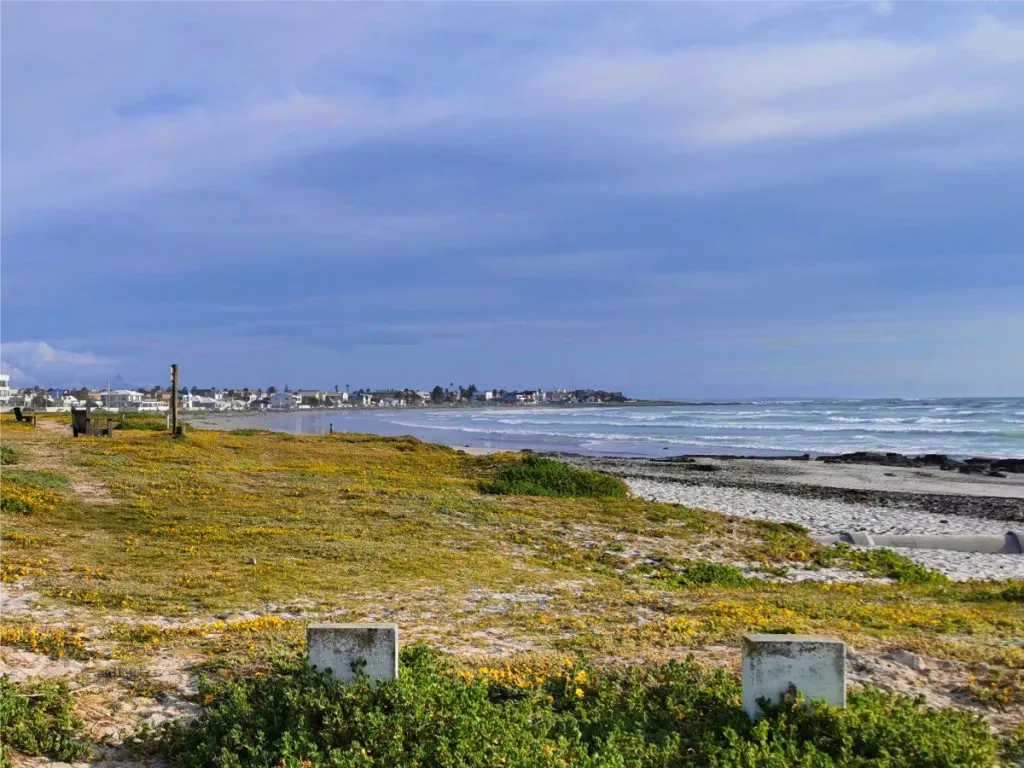 Coastal path with yellow flowers leading to a beach and distant buildings