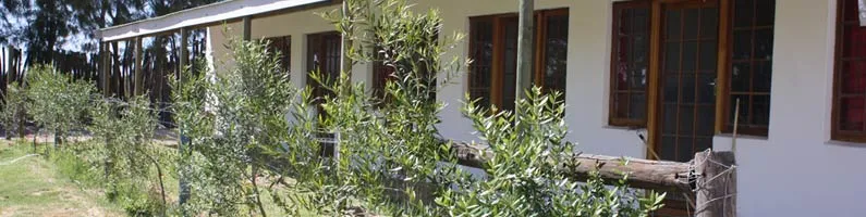 White building with multiple windows surrounded by greenery and wooden fence