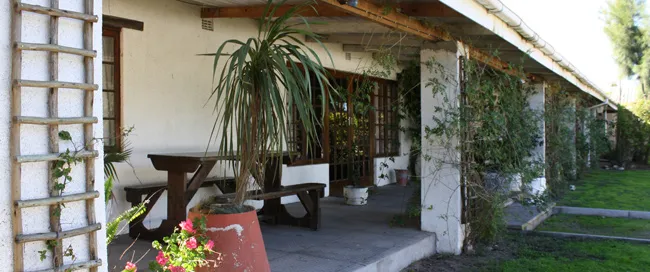 Patio with wooden bench potted plants and climbing vines on a house